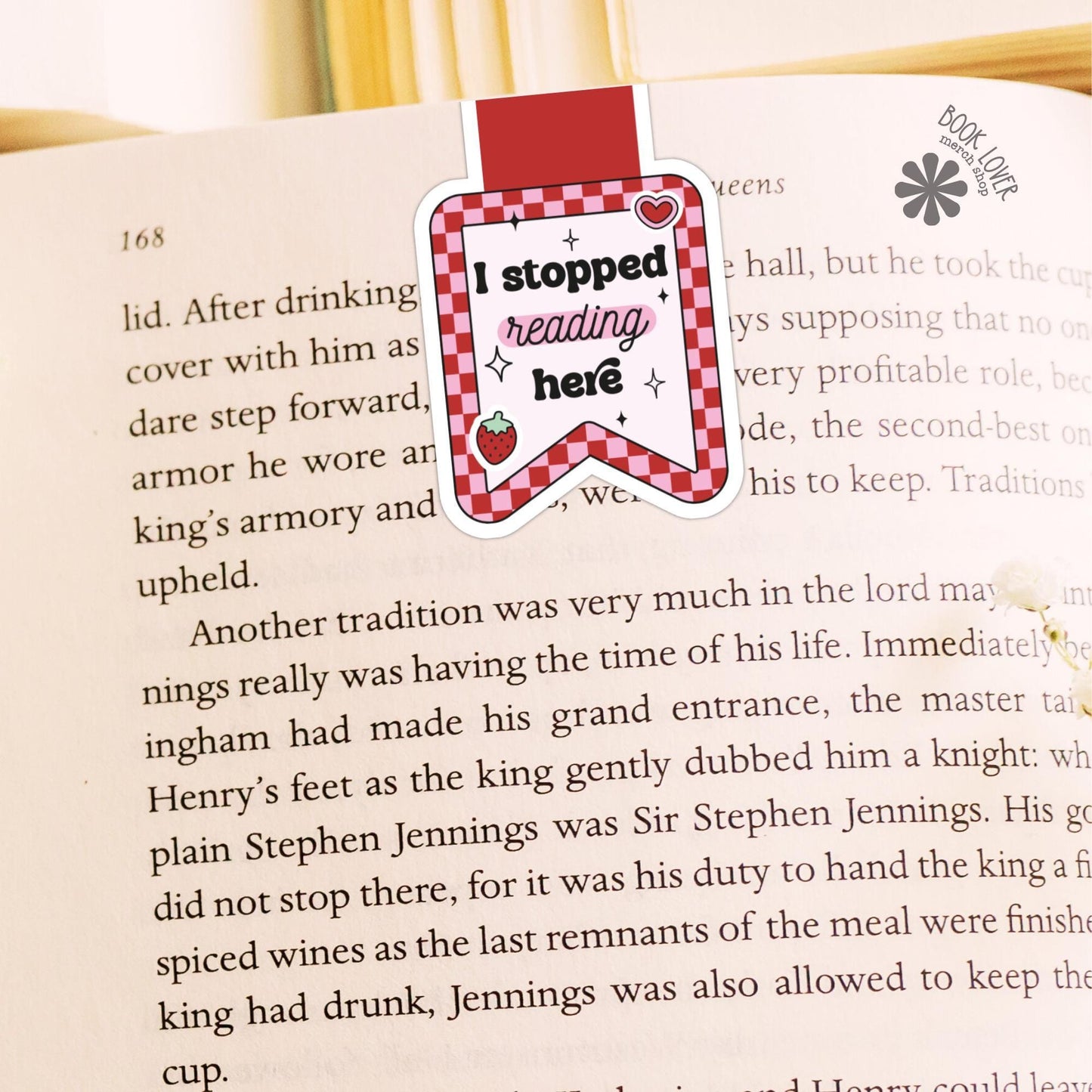 I Stopped Reading Here Strawberry Magnetic Bookmark / Bookish Bookmark / Book Lover Gift / Bookish Merch / Smut Reader / Reading Lover