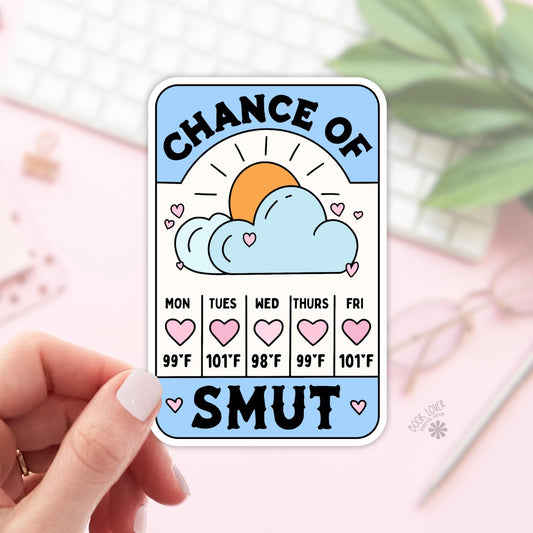 Chance of Smut Stickers / Bookish Stickers / Book Lover Gift / Bookish Merch / Kindle Sticker / Smut Reader / Reading Lover / E-Reader