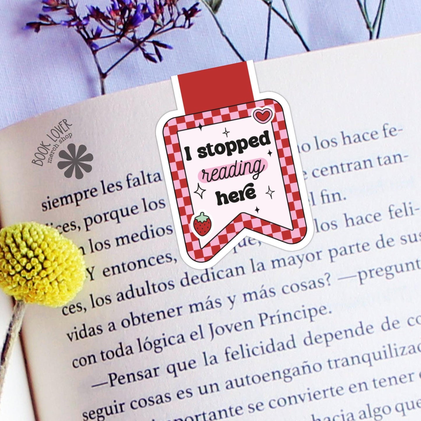 I Stopped Reading Here Strawberry Magnetic Bookmark / Bookish Bookmark / Book Lover Gift / Bookish Merch / Smut Reader / Reading Lover